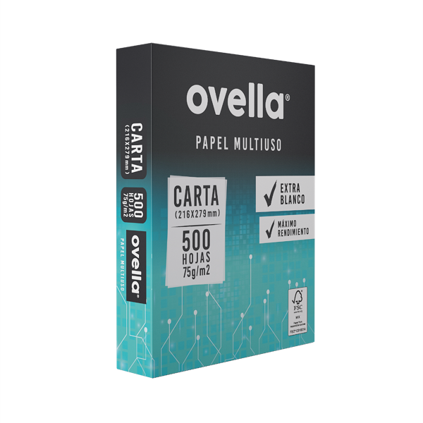 PAPEL IMPRESIÓN RESMA CARTA COLOR BLANCO 500 HJS UD